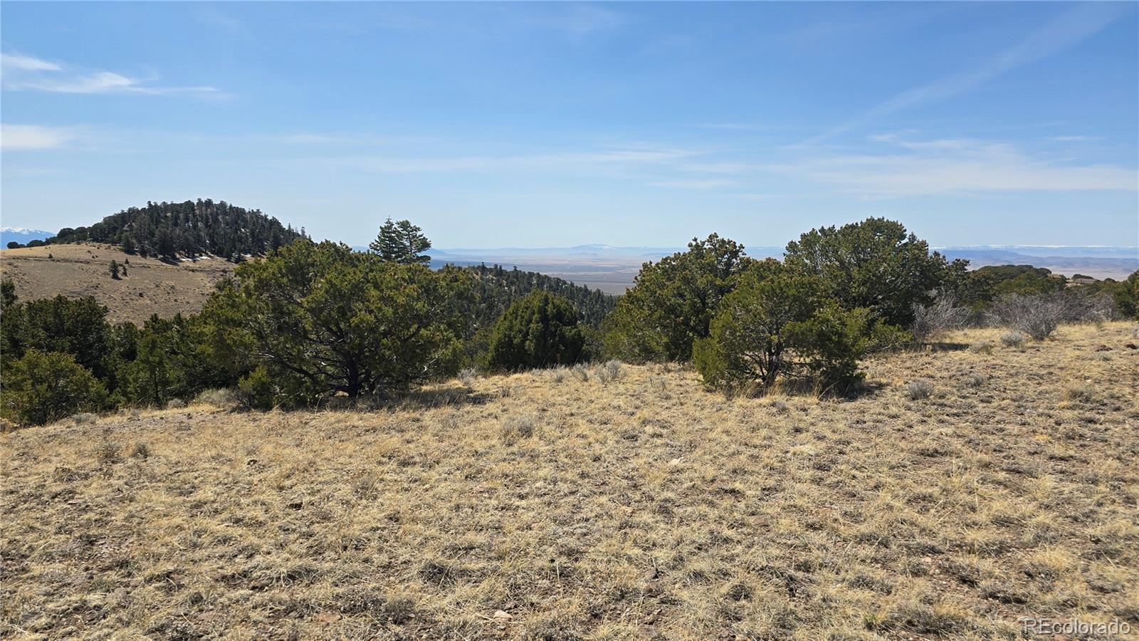 Lot 5506 Balleroy Road Fort Garland CO 81133