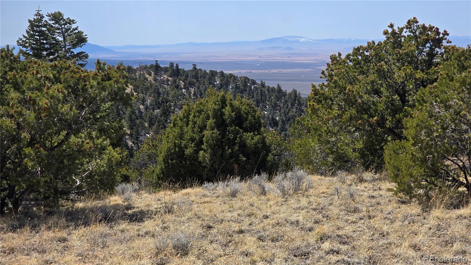 Lot 5506 Balleroy Road Fort Garland CO 81133