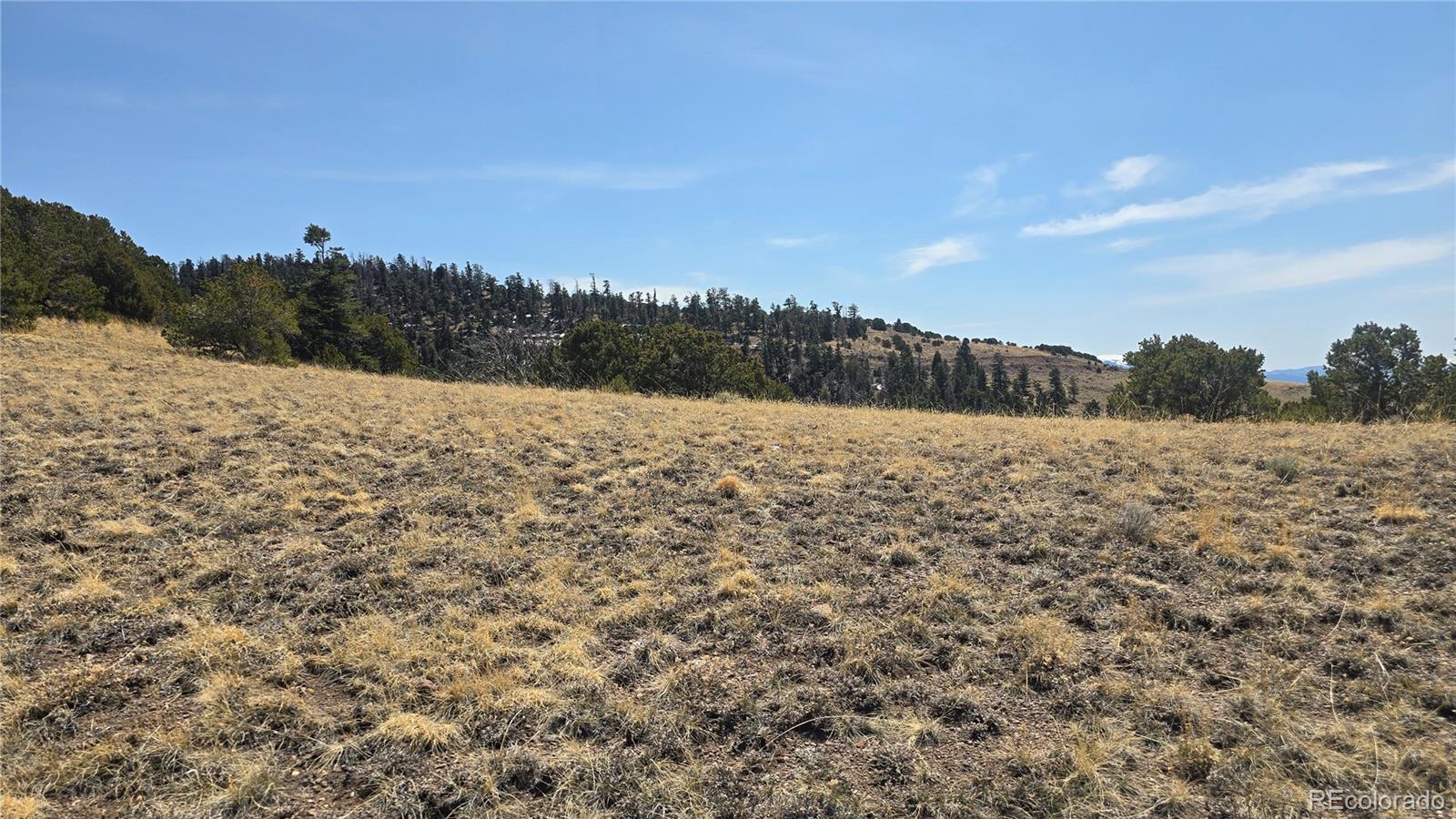 Lot 5506 Balleroy Road Fort Garland CO 81133