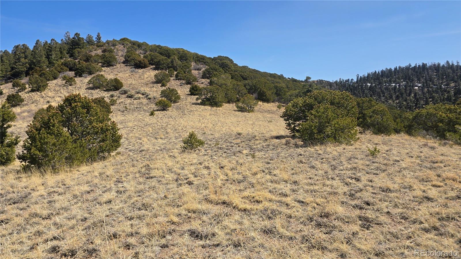 Lot 5506 Balleroy Road Fort Garland CO 81133