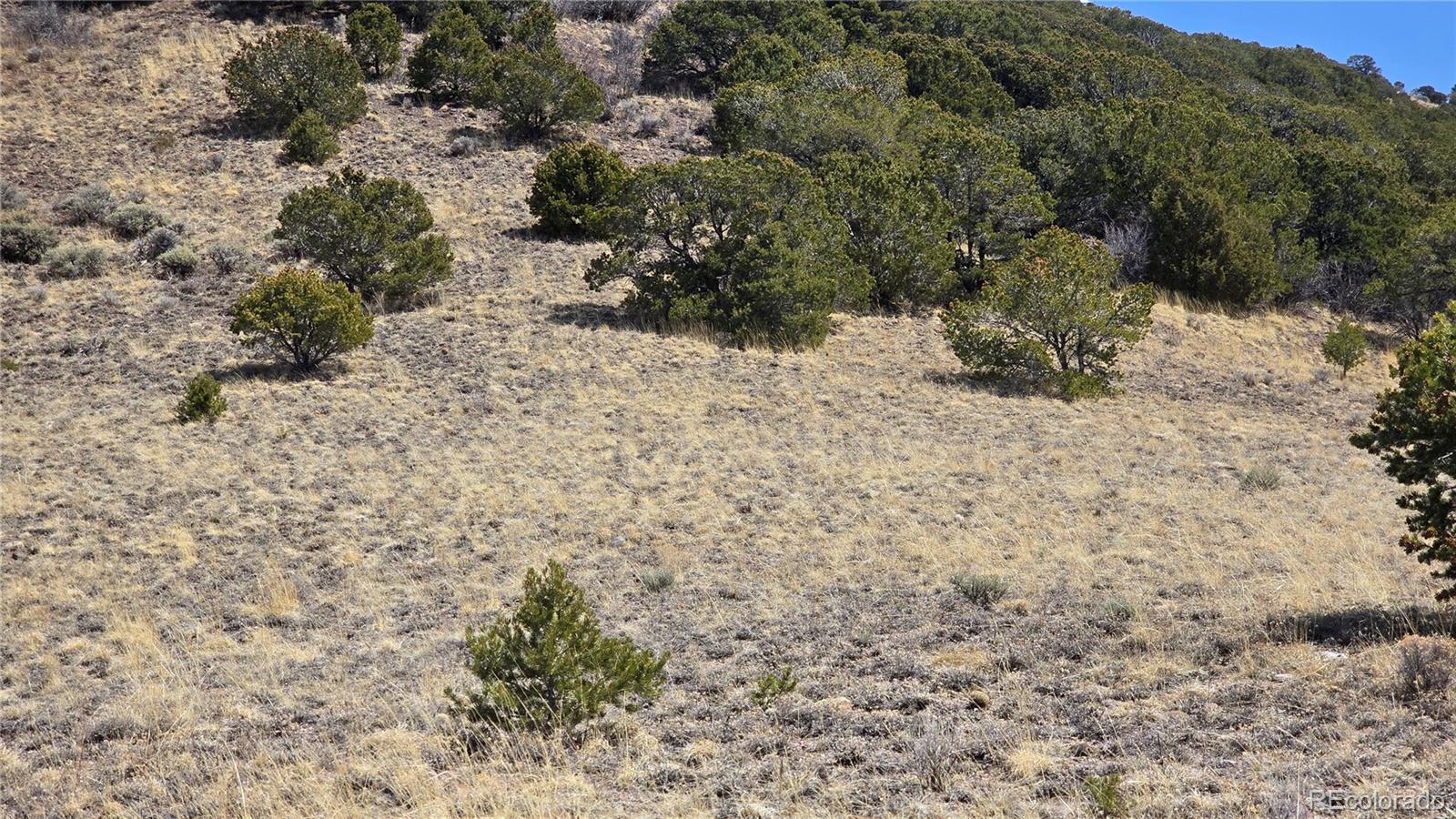 Lot 5506 Balleroy Road Fort Garland CO 81133