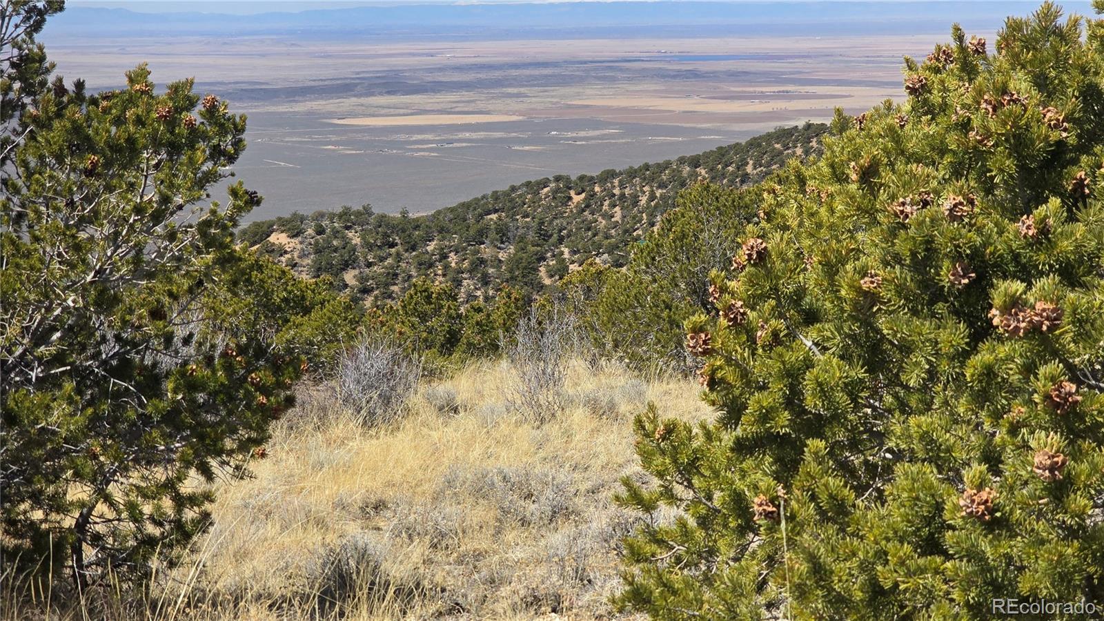 Lot 5506 Balleroy Road Fort Garland CO 81133