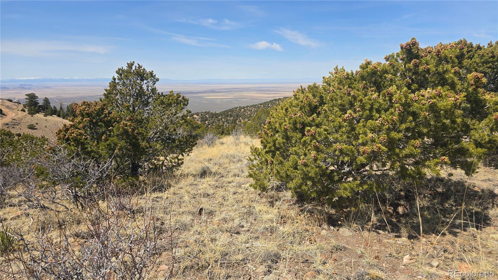Lot 5506 Balleroy Road Fort Garland CO 81133