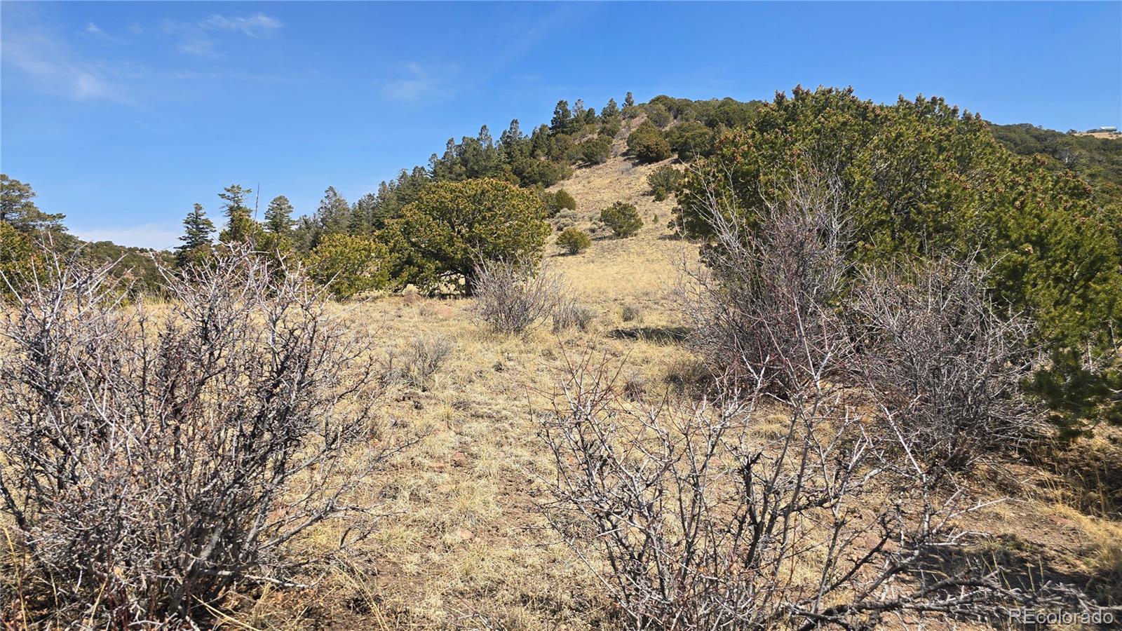 Lot 5506 Balleroy Road Fort Garland CO 81133