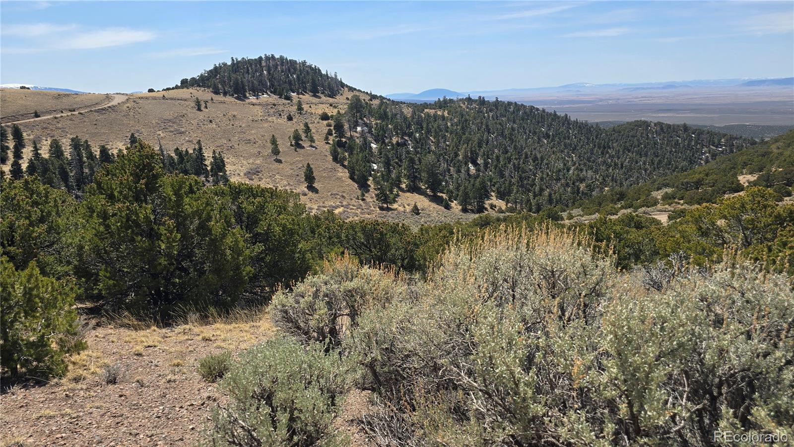 Lot 5506 Balleroy Road Fort Garland CO 81133
