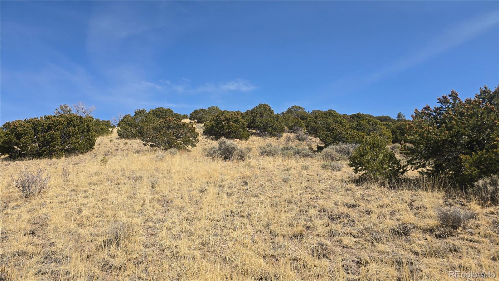 Lot 5506 Balleroy Road Fort Garland CO 81133