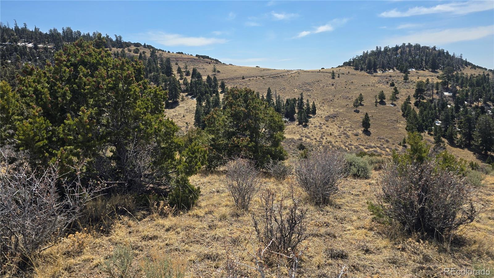 Lot 5506 Balleroy Road Fort Garland CO 81133