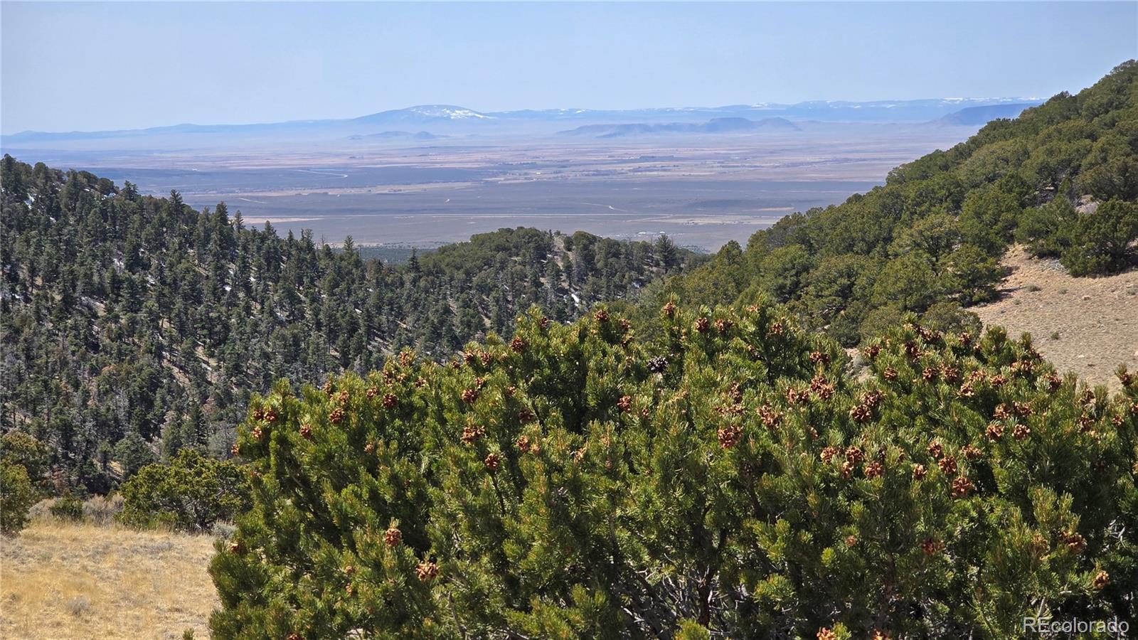 Lot 5506 Balleroy Road Fort Garland CO 81133