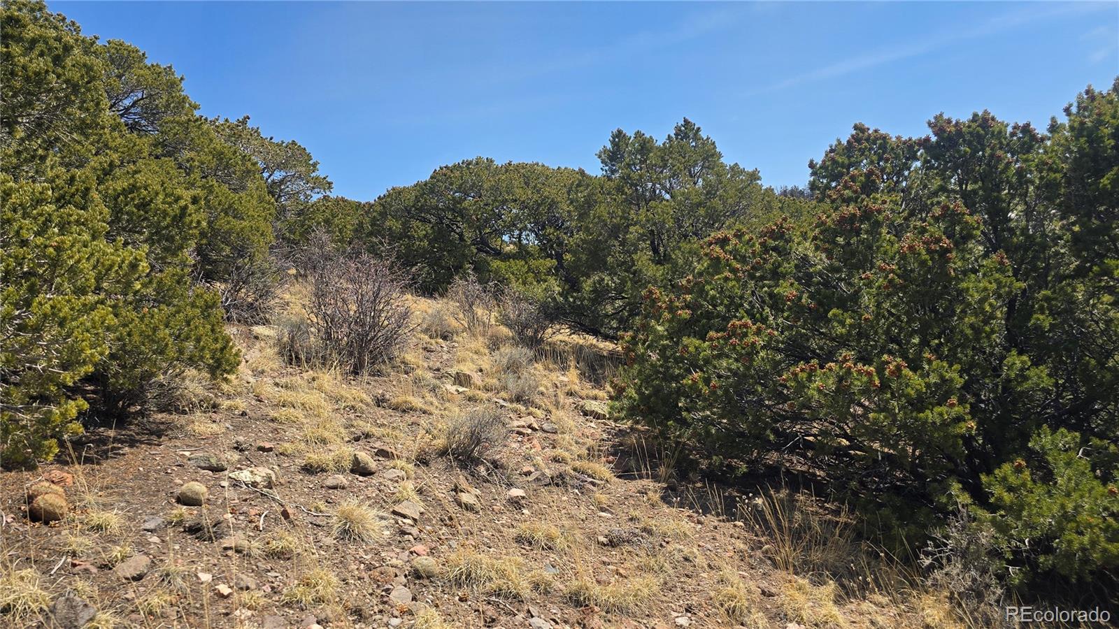 Lot 5506 Balleroy Road Fort Garland CO 81133