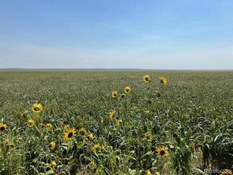 Tbd 96th Avenue Byers CO 80103