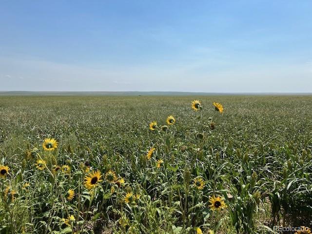 Tbd 96th Avenue Byers CO 80103
