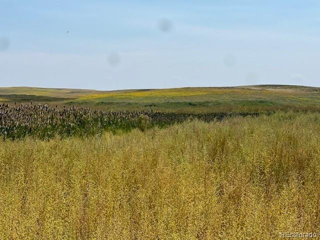 Tbd 96th Avenue Byers CO 80103