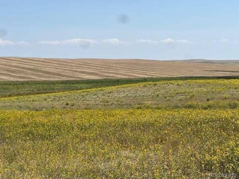 Tbd 96th Avenue Byers CO 80103