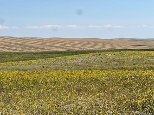 Tbd 96th Avenue Byers CO 80103
