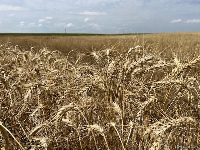 Tbd 96th Avenue Byers CO 80103