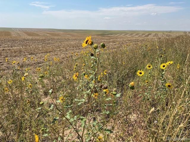 Tbd 96th Avenue Byers CO 80103