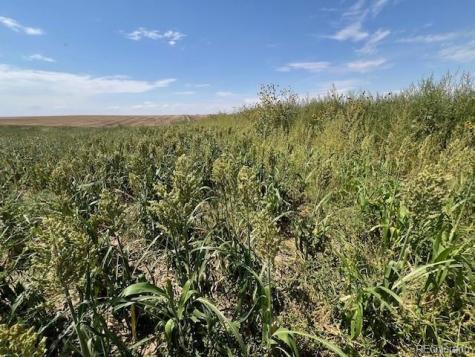 Tbd 96th Avenue Byers CO 80103