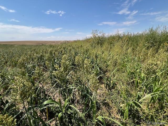 Tbd 96th Avenue Byers CO 80103