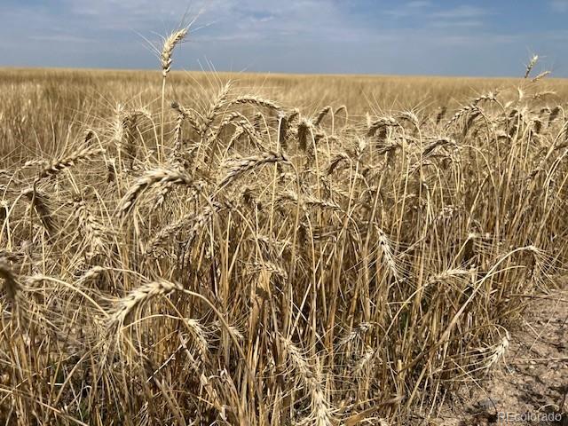 Tbd 96th Avenue Byers CO 80103