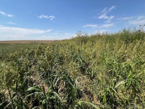 Tbd 96th Avenue Byers CO 80103