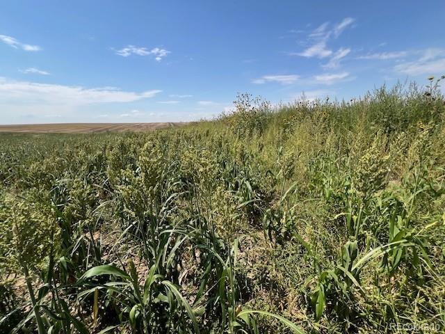 Tbd 96th Avenue Byers CO 80103