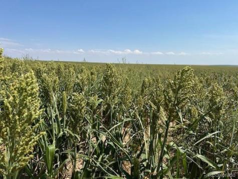 Tbd 96th Avenue Byers CO 80103