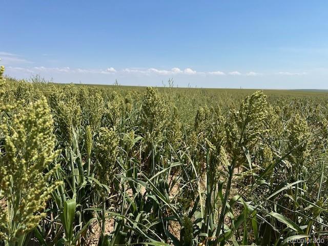 Tbd 96th Avenue Byers CO 80103