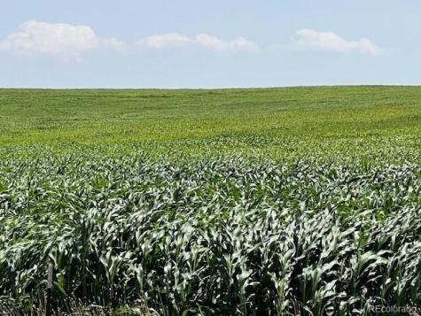 Tbd 96th Avenue Byers CO 80103