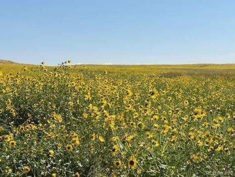 Tbd 96th Avenue Byers CO 80103