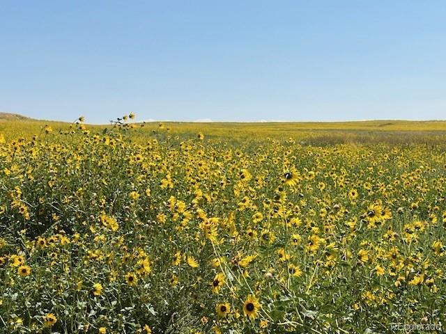 Tbd 96th Avenue Byers CO 80103