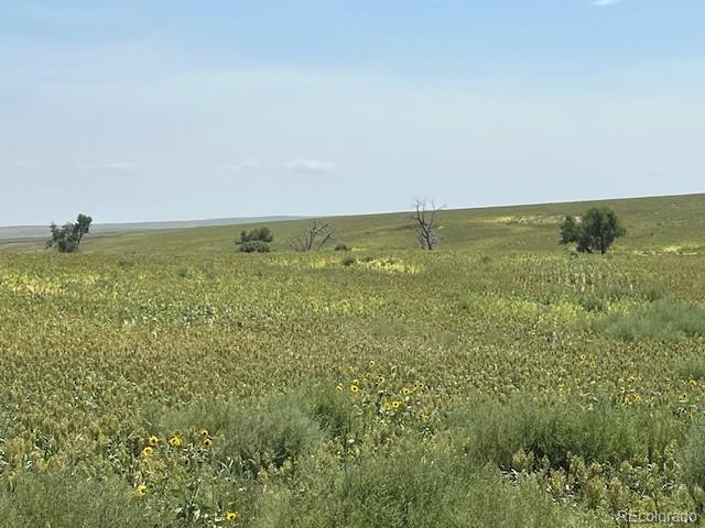 Tbd 96th Avenue Byers CO 80103