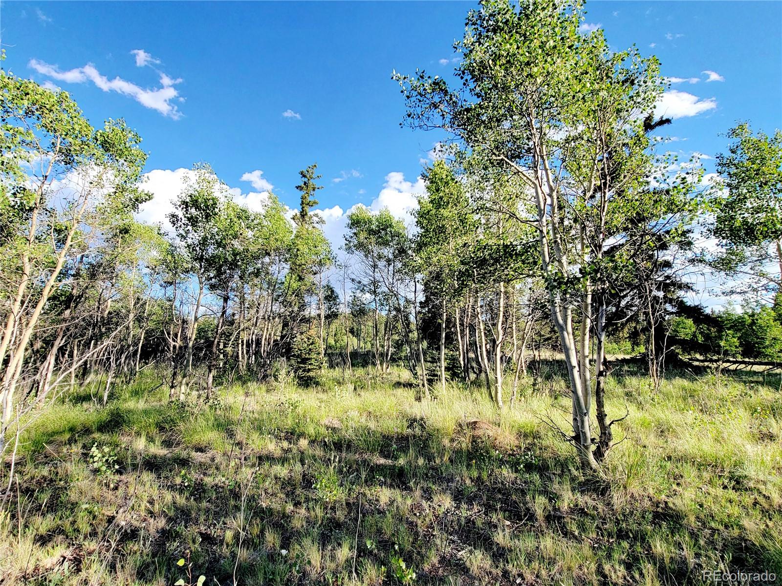 62 Shoshone Drive Como CO 80432