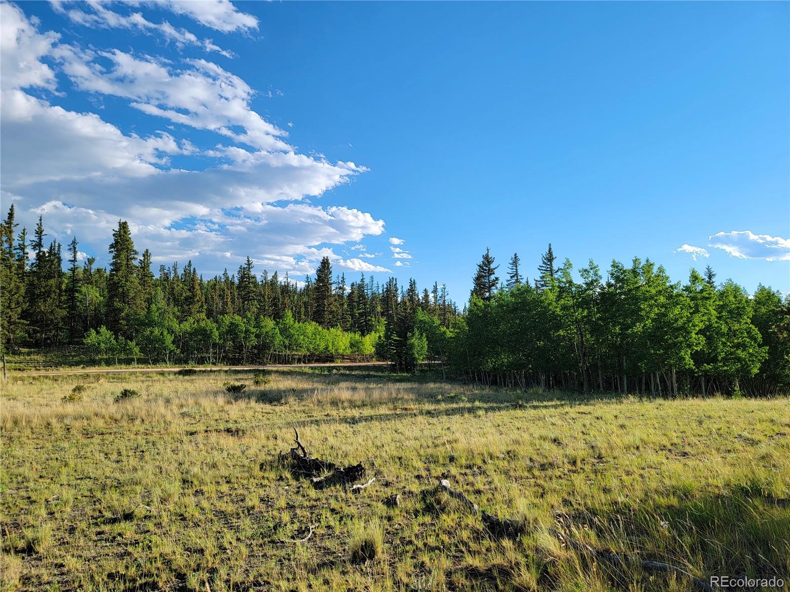 62 Shoshone Drive Como CO 80432