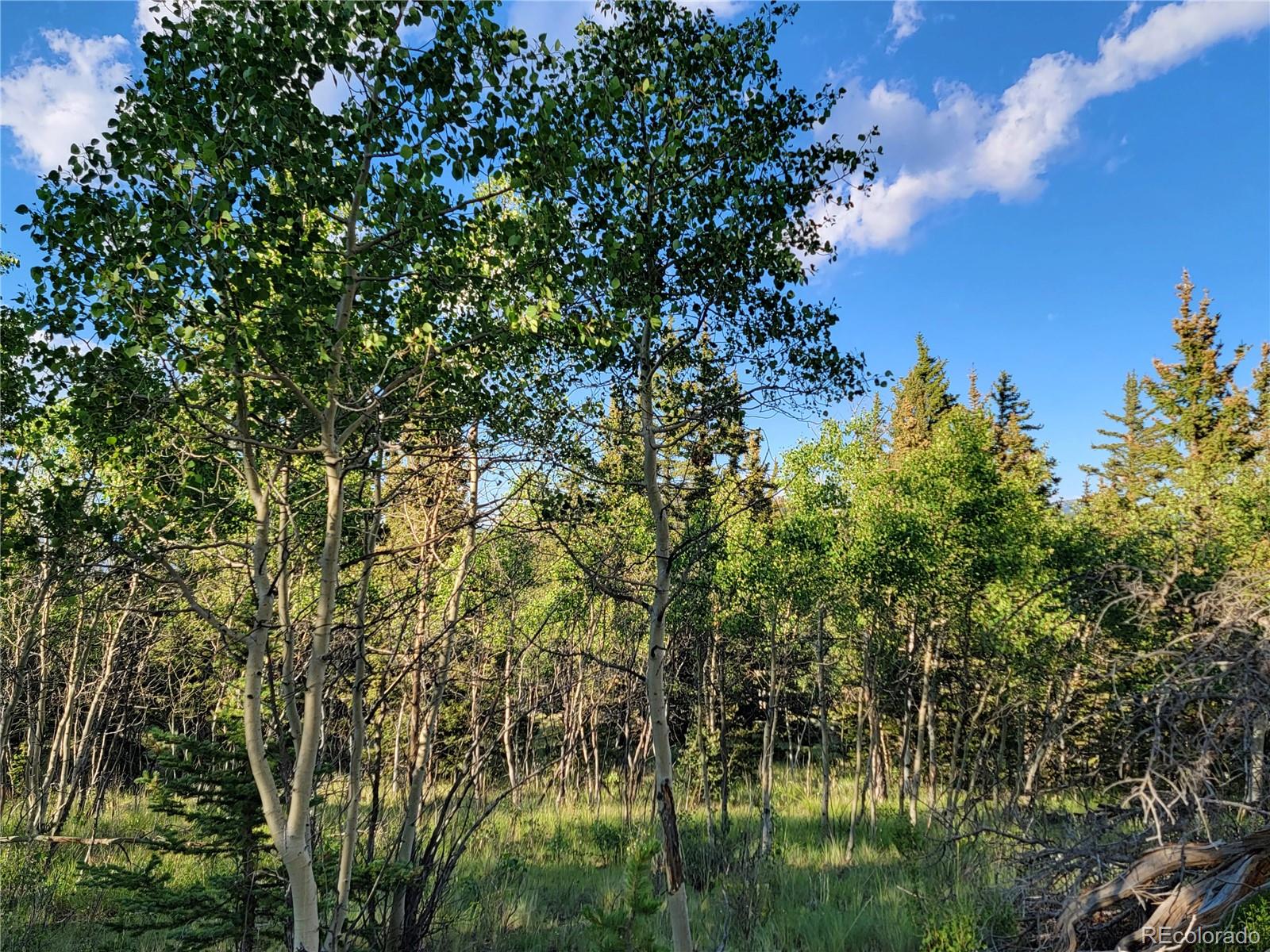 62 Shoshone Drive Como CO 80432