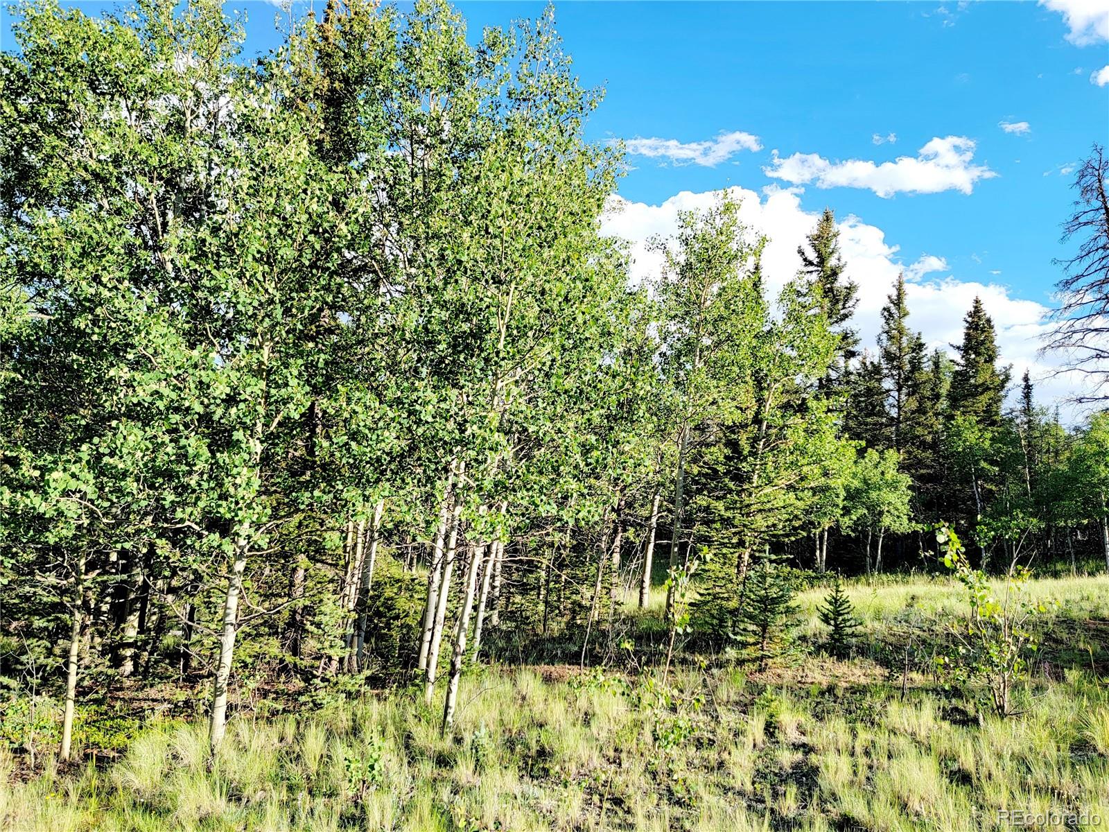 62 Shoshone Drive Como CO 80432