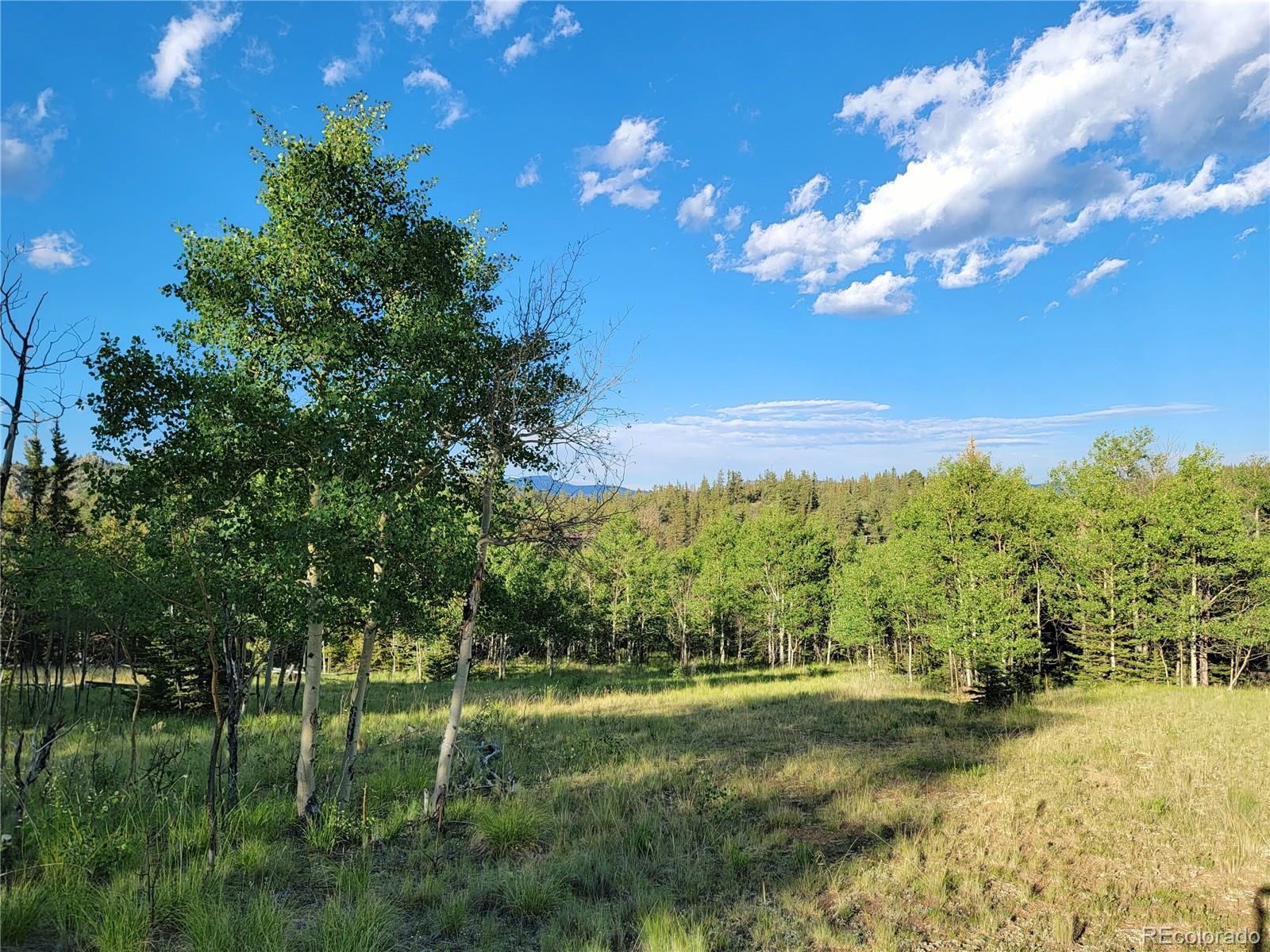 62 Shoshone Drive Como CO 80432