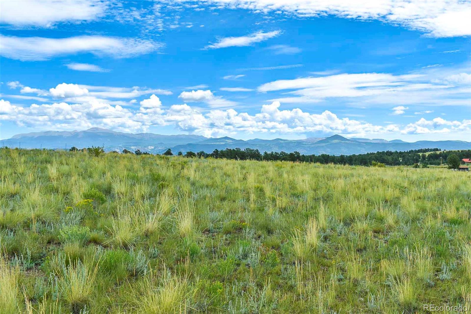 4782 County Road 71 Guffey CO 80820