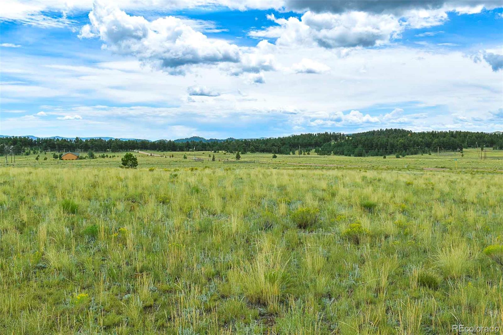 4782 County Road 71 Guffey CO 80820