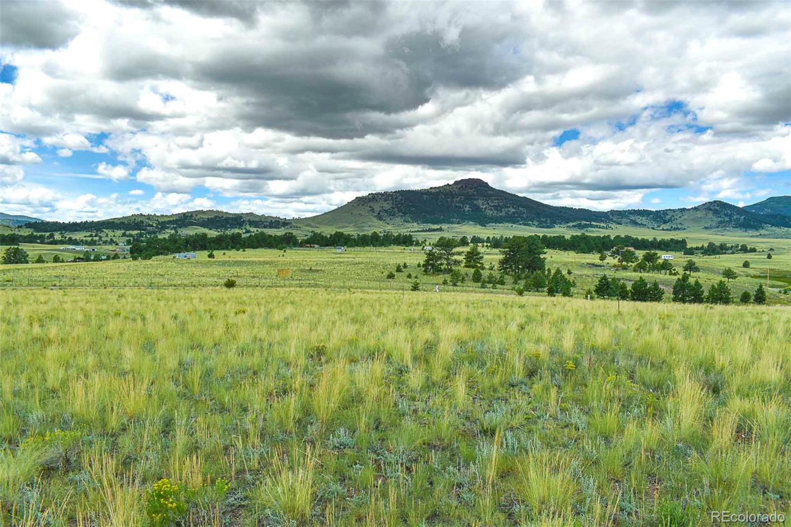 4782 County Road 71 Guffey CO 80820