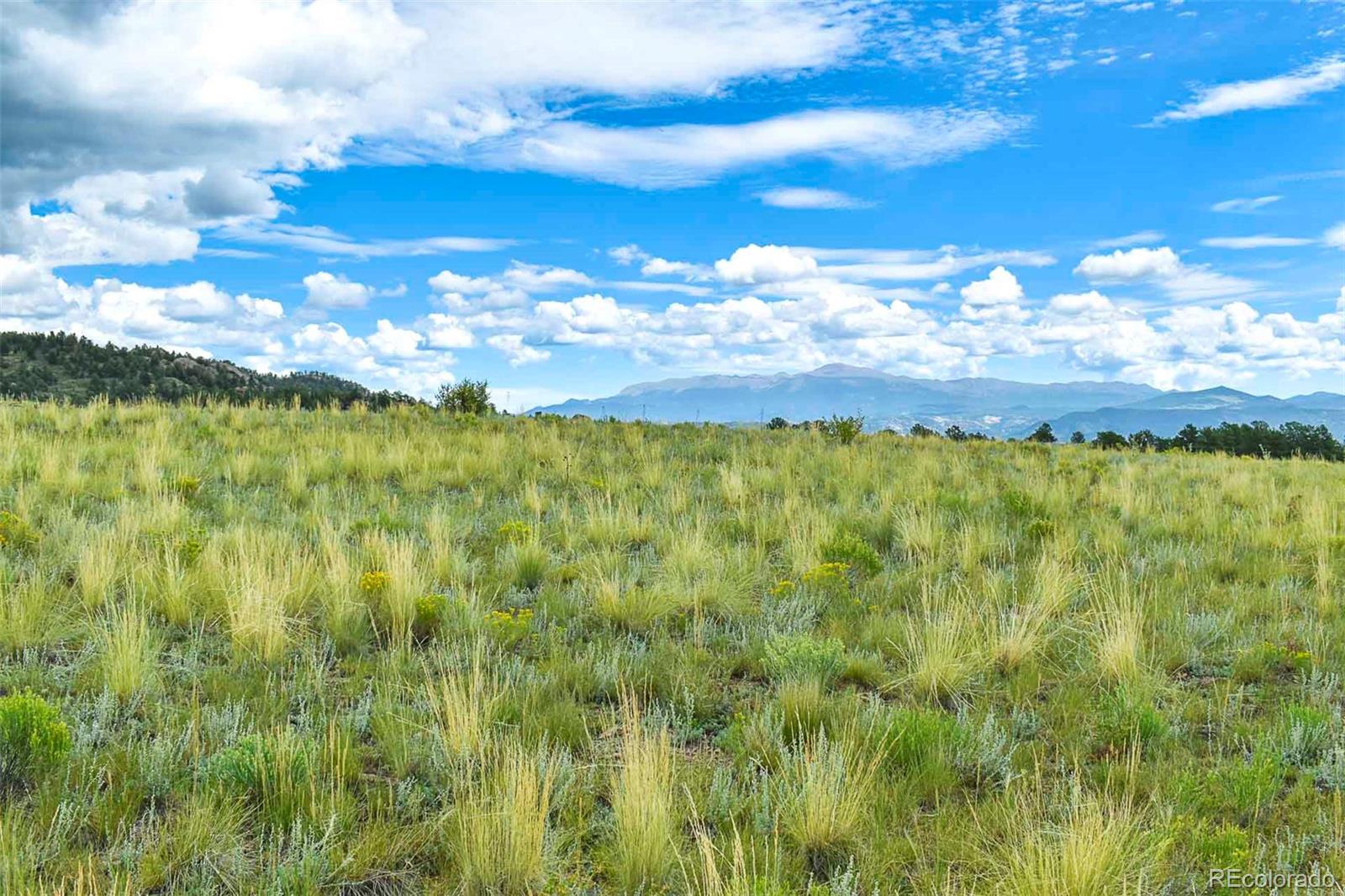4782 County Road 71 Guffey CO 80820
