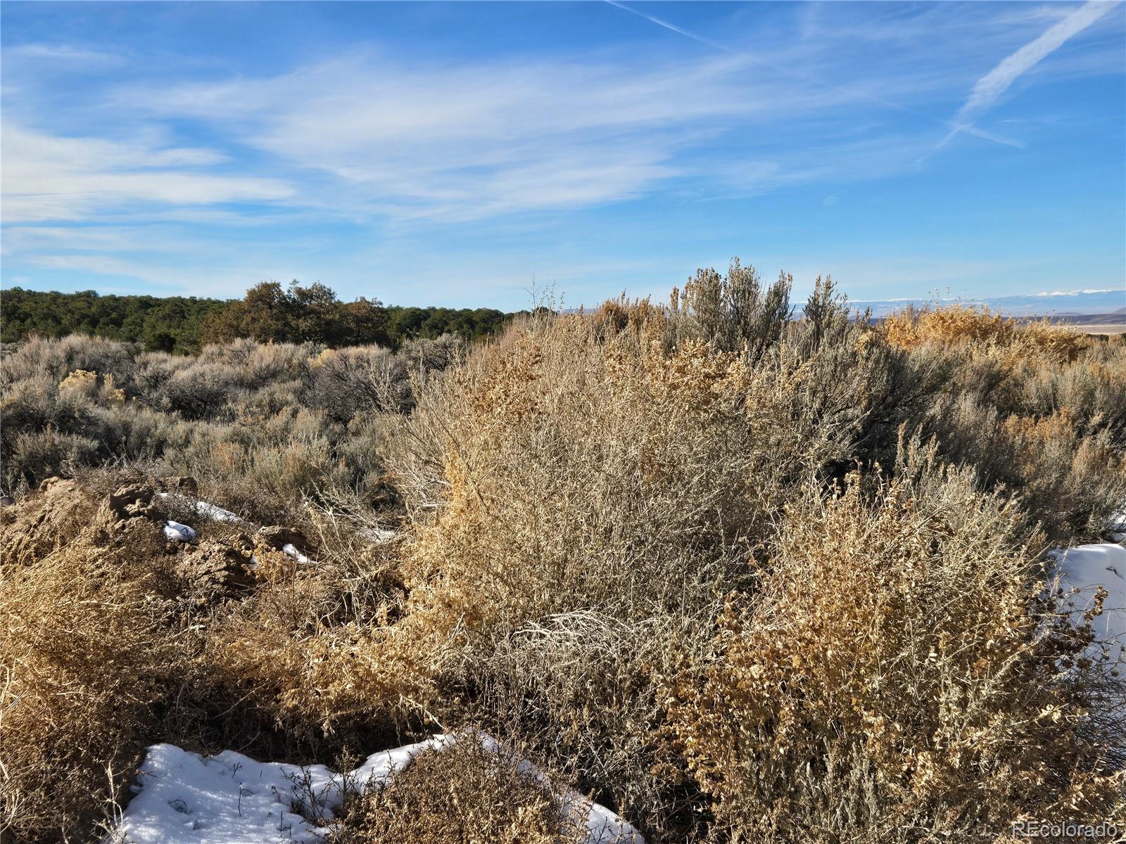 Lot 1978 Yablin Road Fort Garland CO 81133