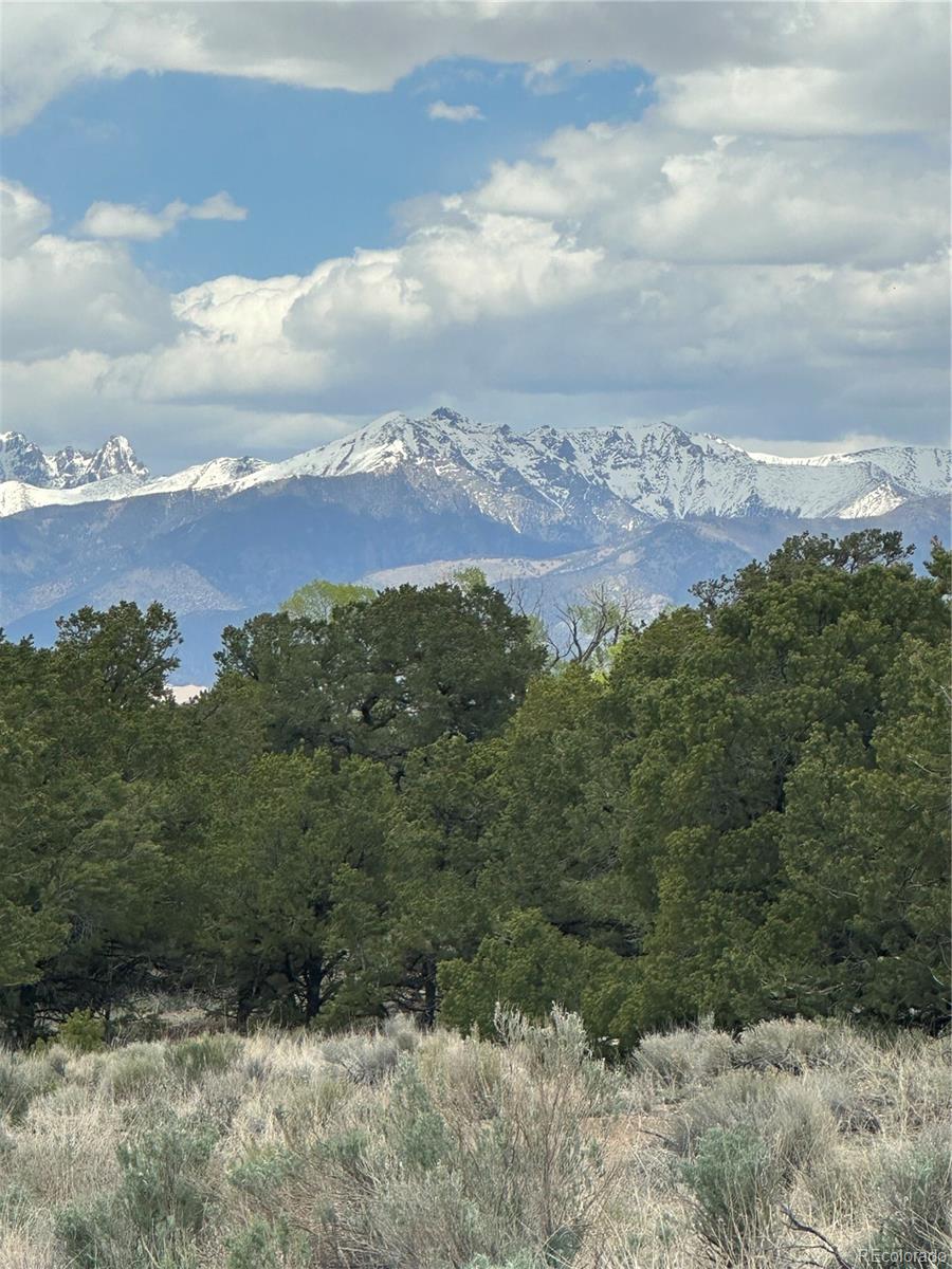 10 Mountain Springs Lane Mosca CO 81146