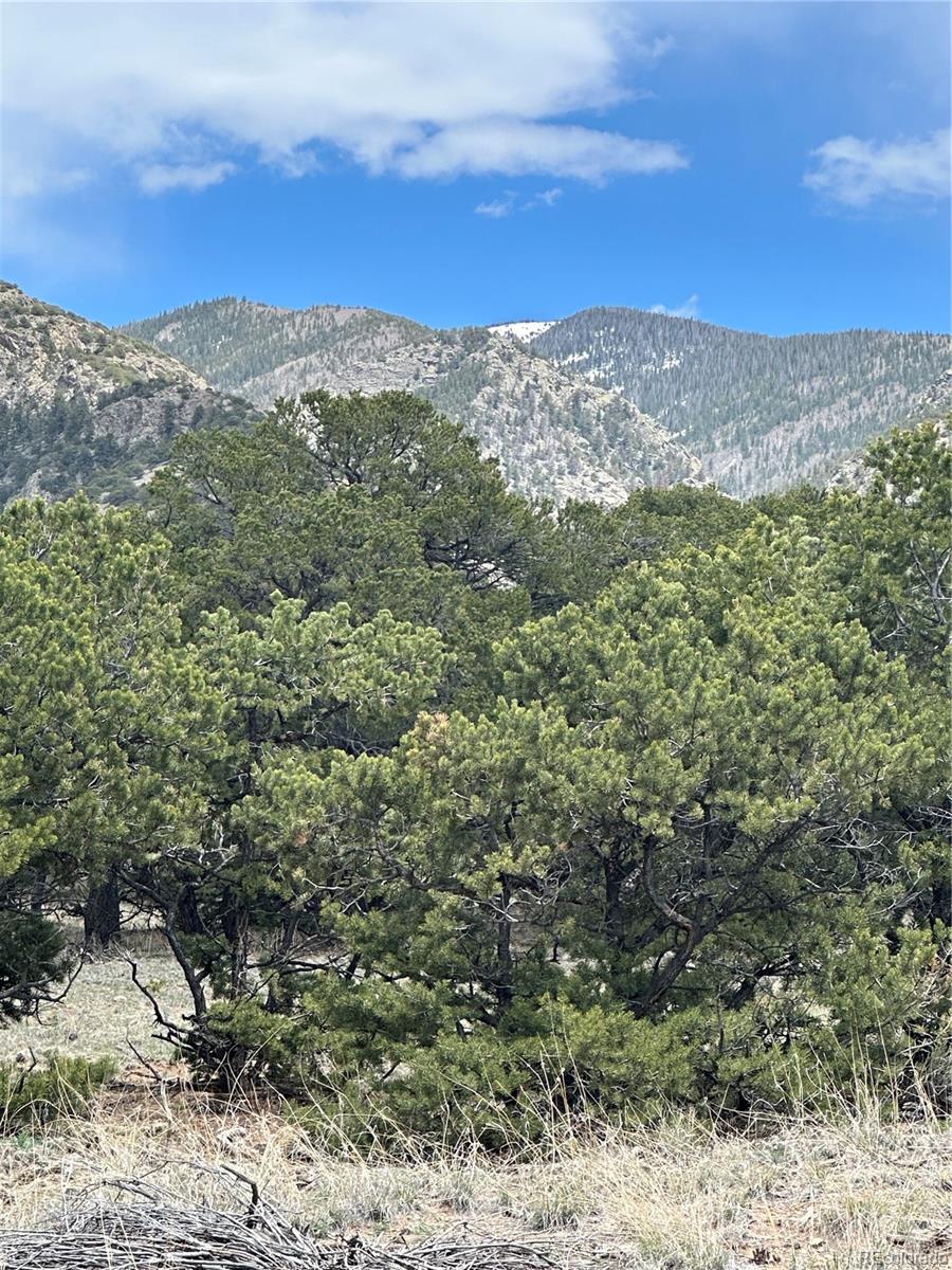 10 Mountain Springs Lane Mosca CO 81146