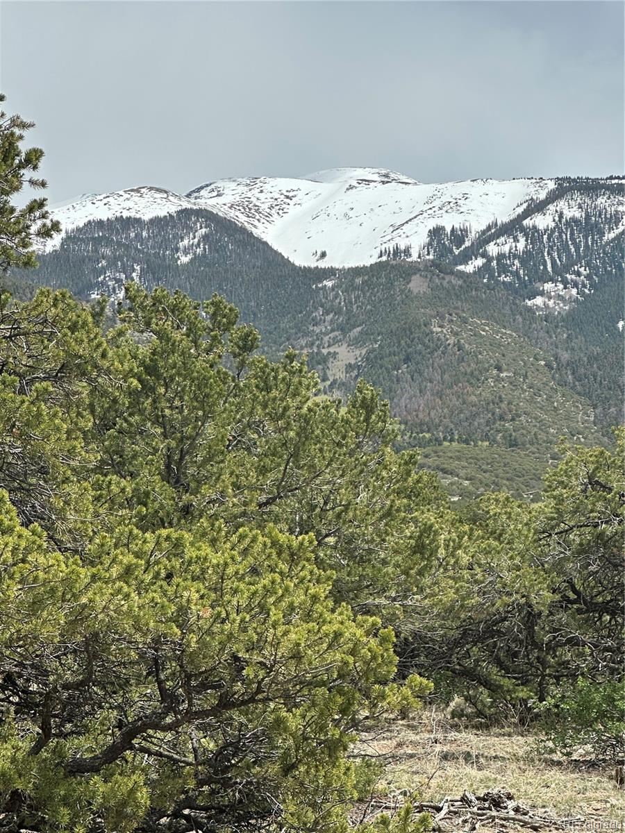 10 Mountain Springs Lane Mosca CO 81146