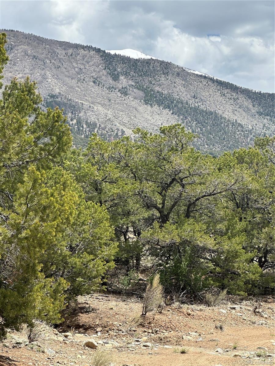 10 Mountain Springs Lane Mosca CO 81146