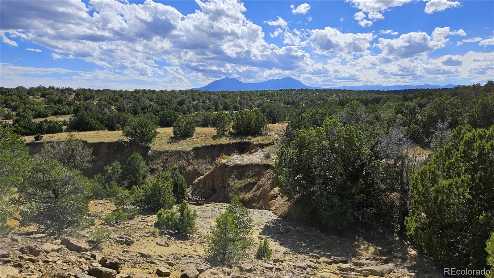 776 Rio Cucharas Walsenburg CO 81089