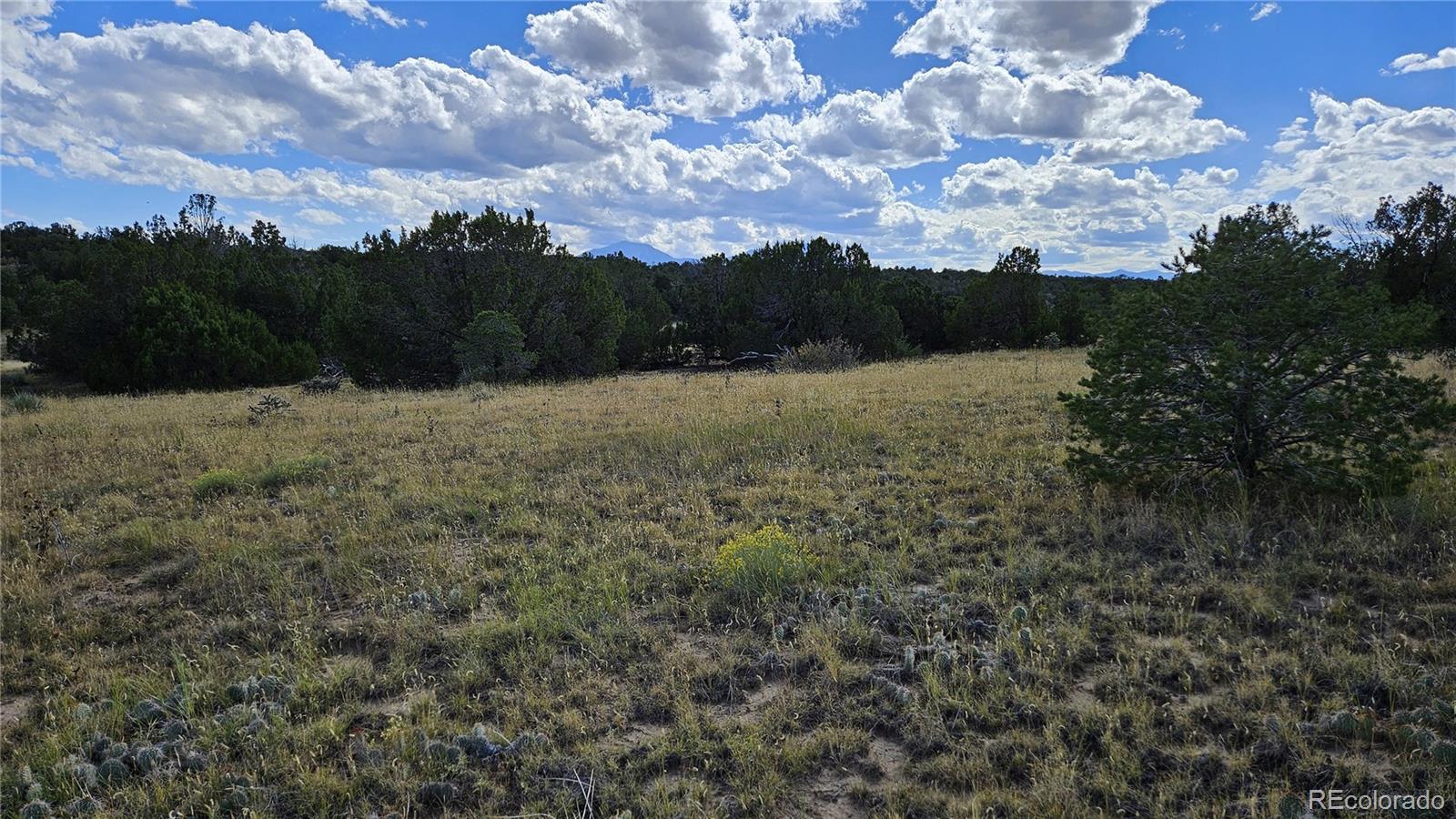 776 Rio Cucharas Walsenburg CO 81089