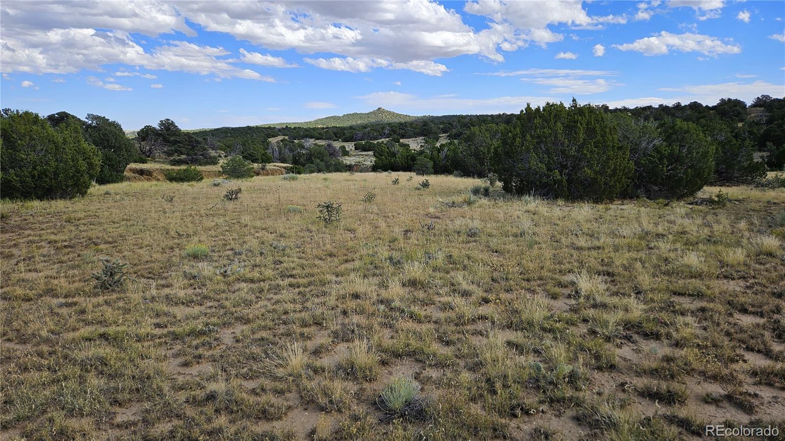 776 Rio Cucharas Walsenburg CO 81089