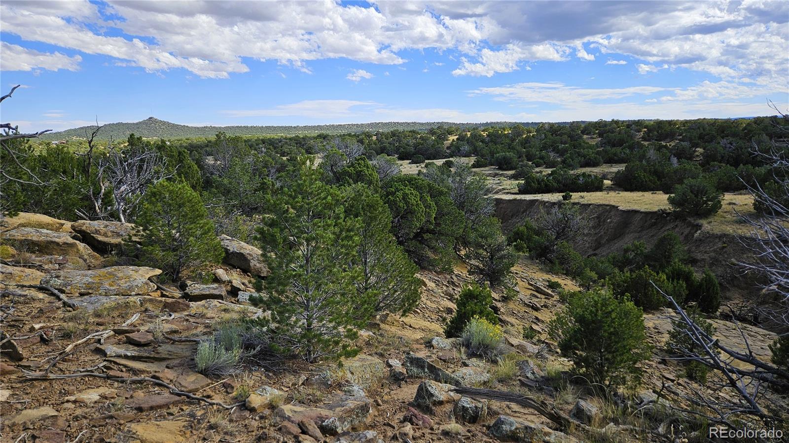 776 Rio Cucharas Walsenburg CO 81089