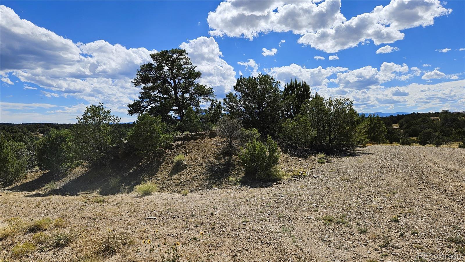 776 Rio Cucharas Walsenburg CO 81089